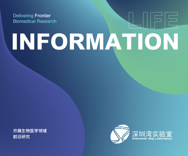 品牌升級視角下的靈活與潮流設計——從網站到整體品牌體驗的重塑